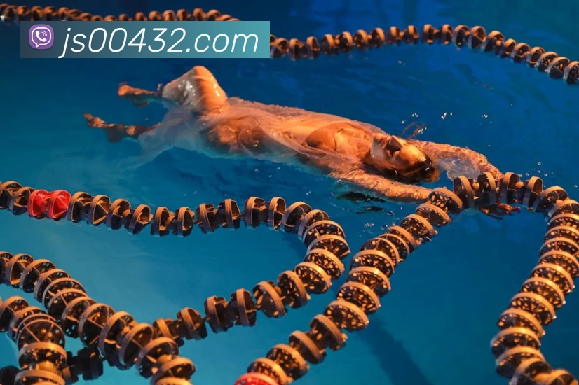 App Interface Preview